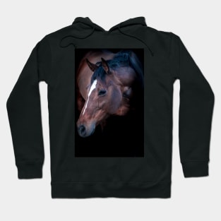 Champion Mare Hoodie